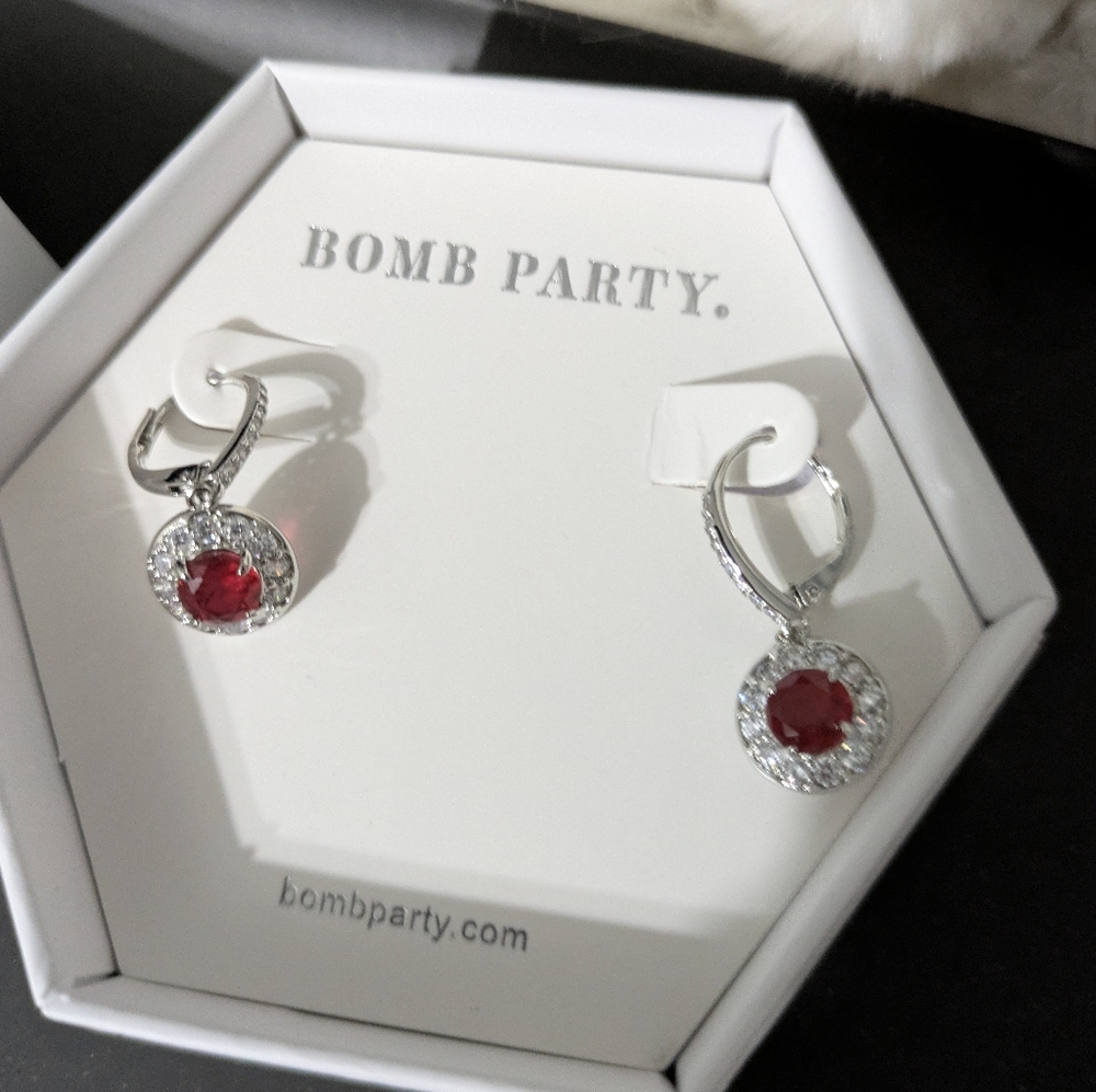 Silver and Red Earrings